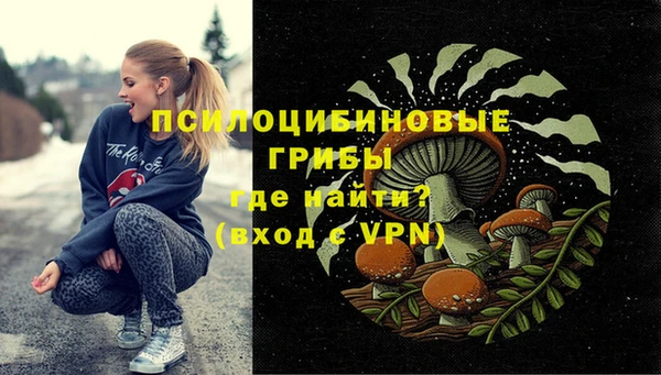 spice Новозыбков