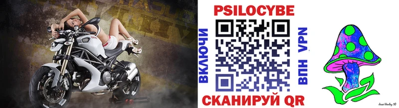 Купить закладки  Собинка  Галлюциногенные грибы Psilocybe 